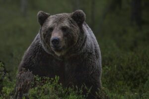 がん経験者が生命保険に入れる方法とは？