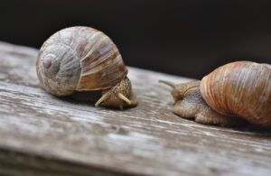 死亡保険を複数契約するメリットとは？