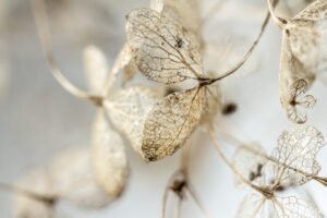 死亡保障の相場はどのように変わるのか？