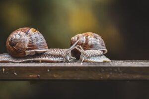 生命保険複数を選ぶ際の注意点は何ですか？