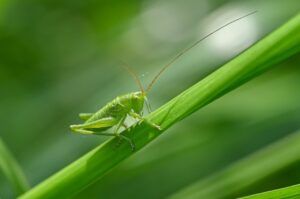 人気の生命保険を選ぶ際のポイントは何ですか？