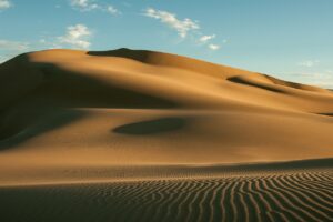 掛け捨て生命保険のニーズ別ランキングはどのように選ぶべき？