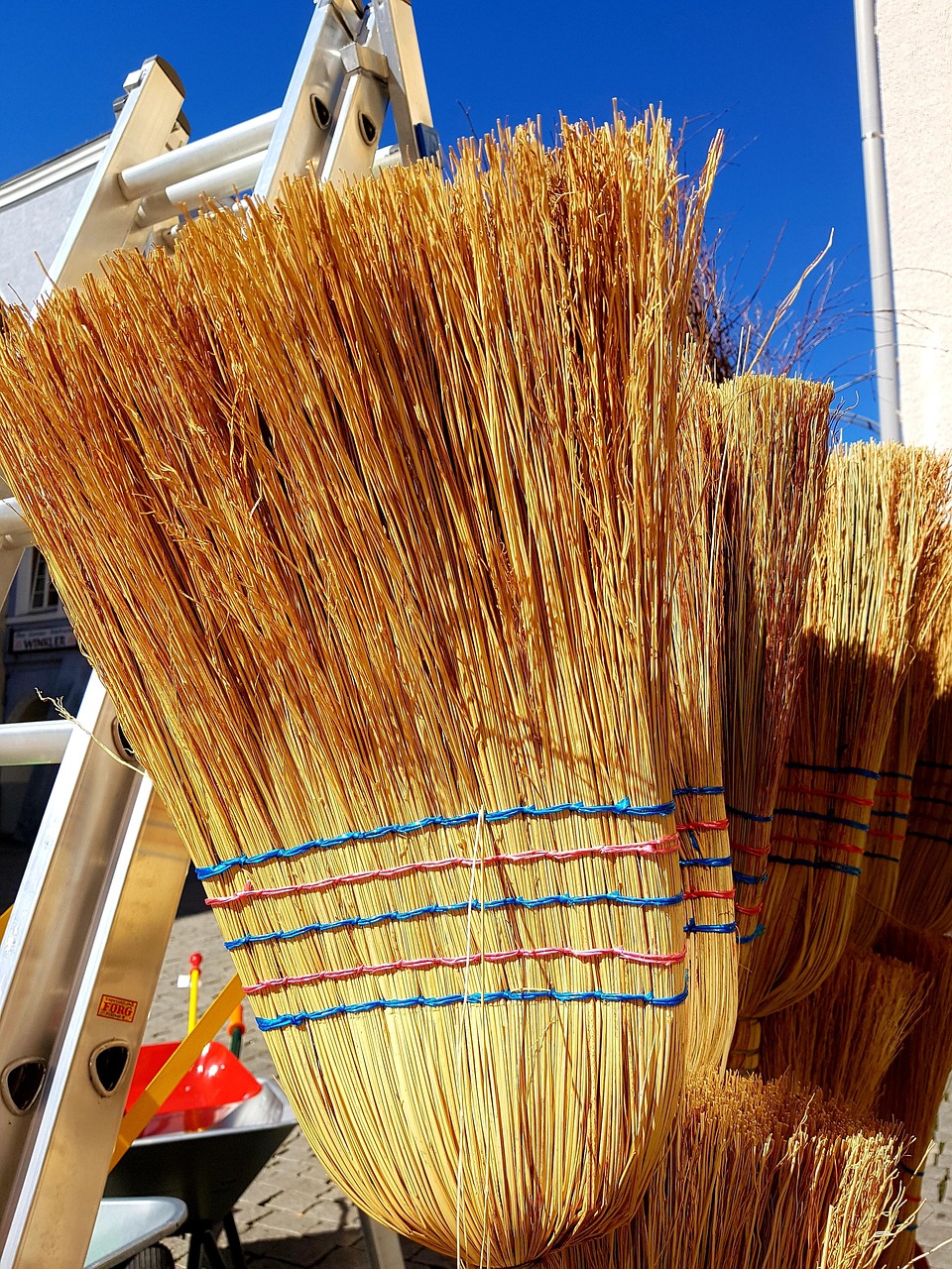 生命保険会社のニーズ別ランキングで自分に最適なプランは？