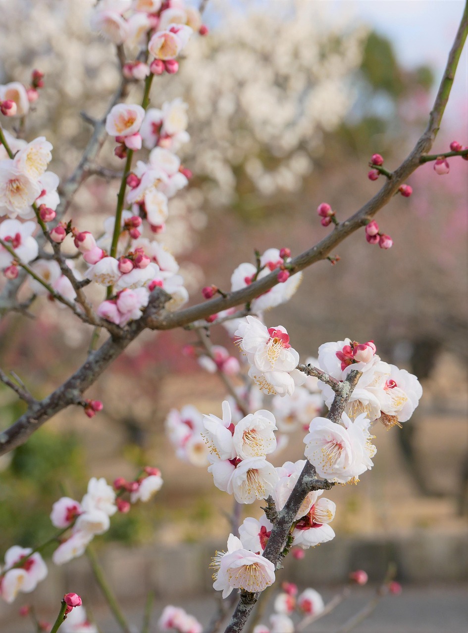 FP保険の相談を無料で受ける方法は？