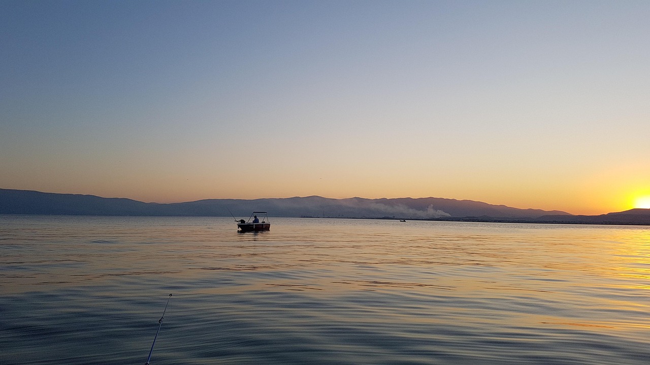 保険の見直しを考える独立系FPに相談するメリットは？